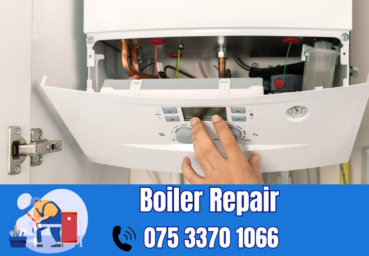 boiler repair Darenth