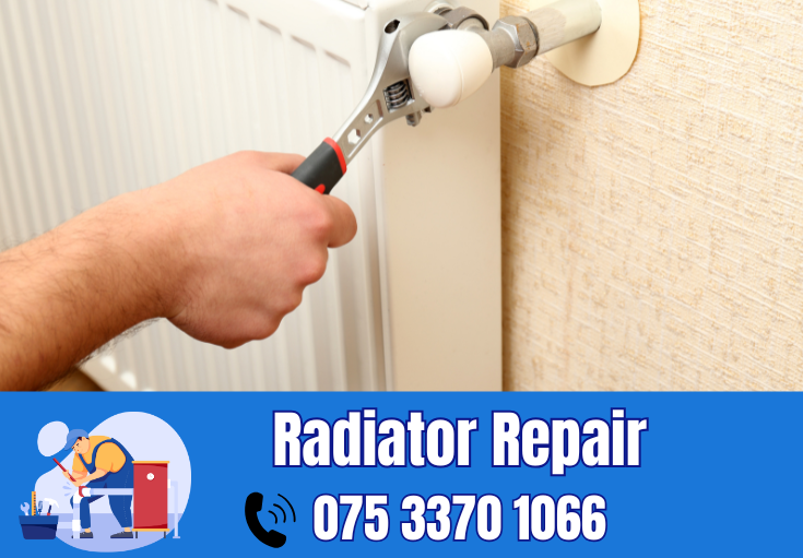 radiator repair and installation Darenth