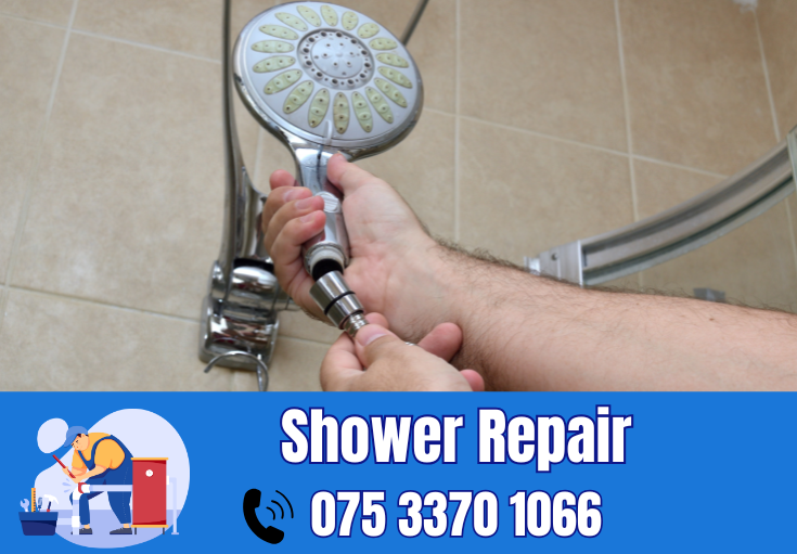 shower repair and installation Darenth