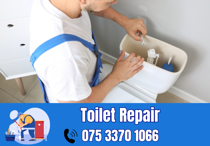toilet repair Darenth